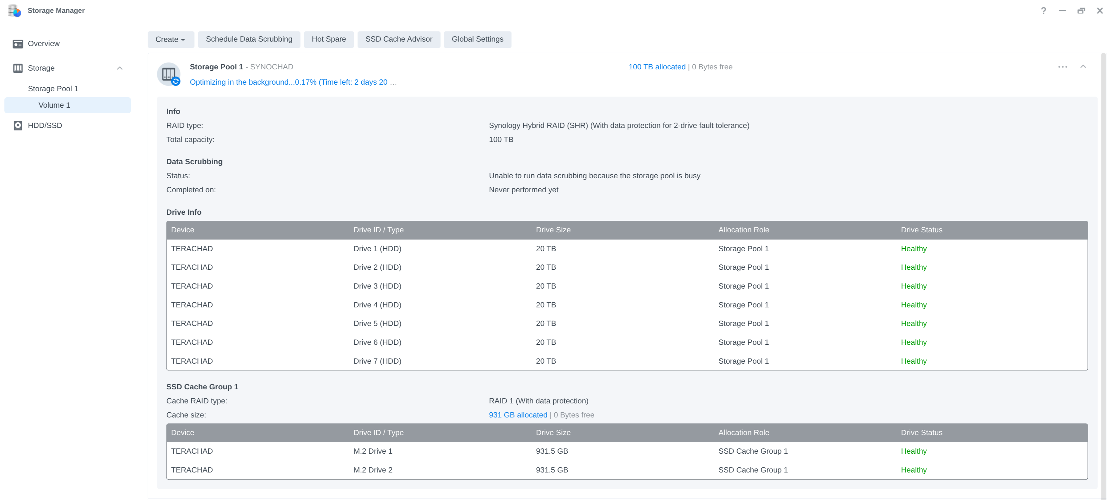 Storage Manager do Synology mostrando o pool novo SYNOCHAD em SHR com tolerância a dois discos, 100 TB e todos os discos Healthy